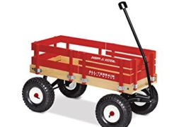 Beach Wagon For Kids | Best Beach Wagon.