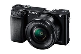 These Are Good Cameras For Photography Enthusiasts.