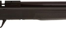 Most 5 Powerful Air Rifle On The Market