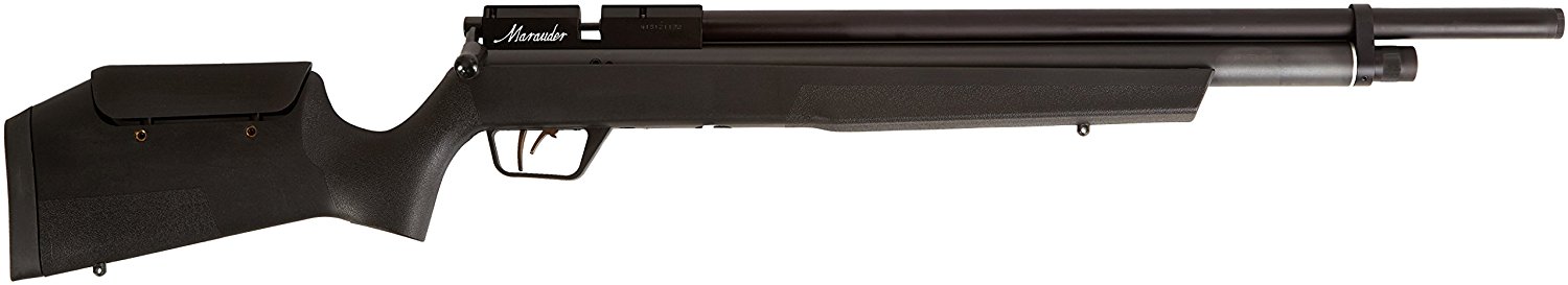 most powerful pellet gun in the world