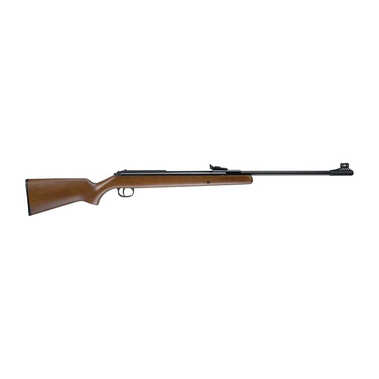 Most Accurate Pellet Rifle