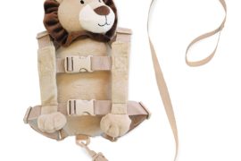 backpack with harness
